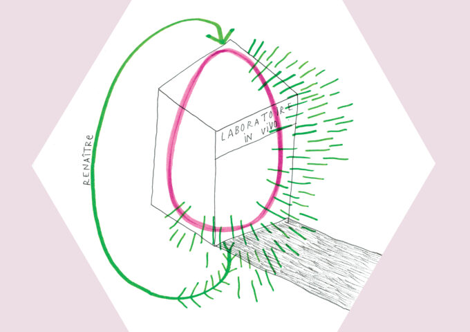 Le laboratoire in vivo