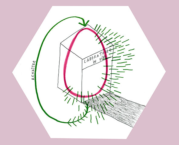 Le laboratoire in vivo
